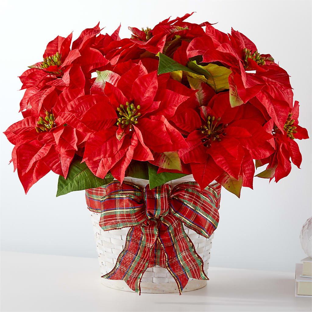 Happiest Holidays Poinsettia – TIFFANEY'S FLOWERS & GIFTS, Junction City KY