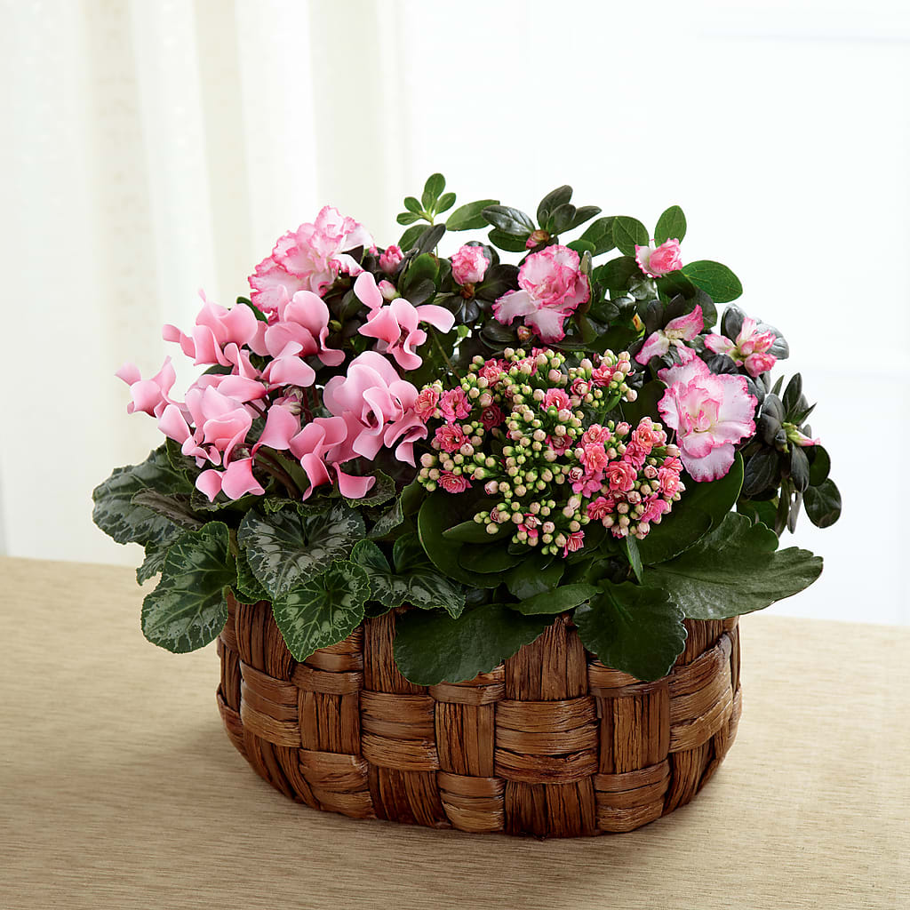 Pink Assortment – TIFFANEY'S FLOWERS & GIFTS, Junction City KY