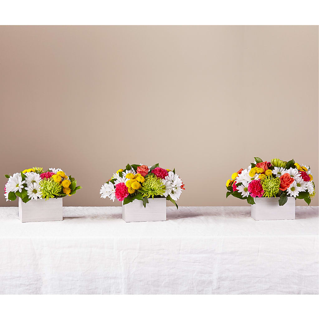 Sorbet Bouquet – TIFFANEY'S FLOWERS & GIFTS, Junction City KY