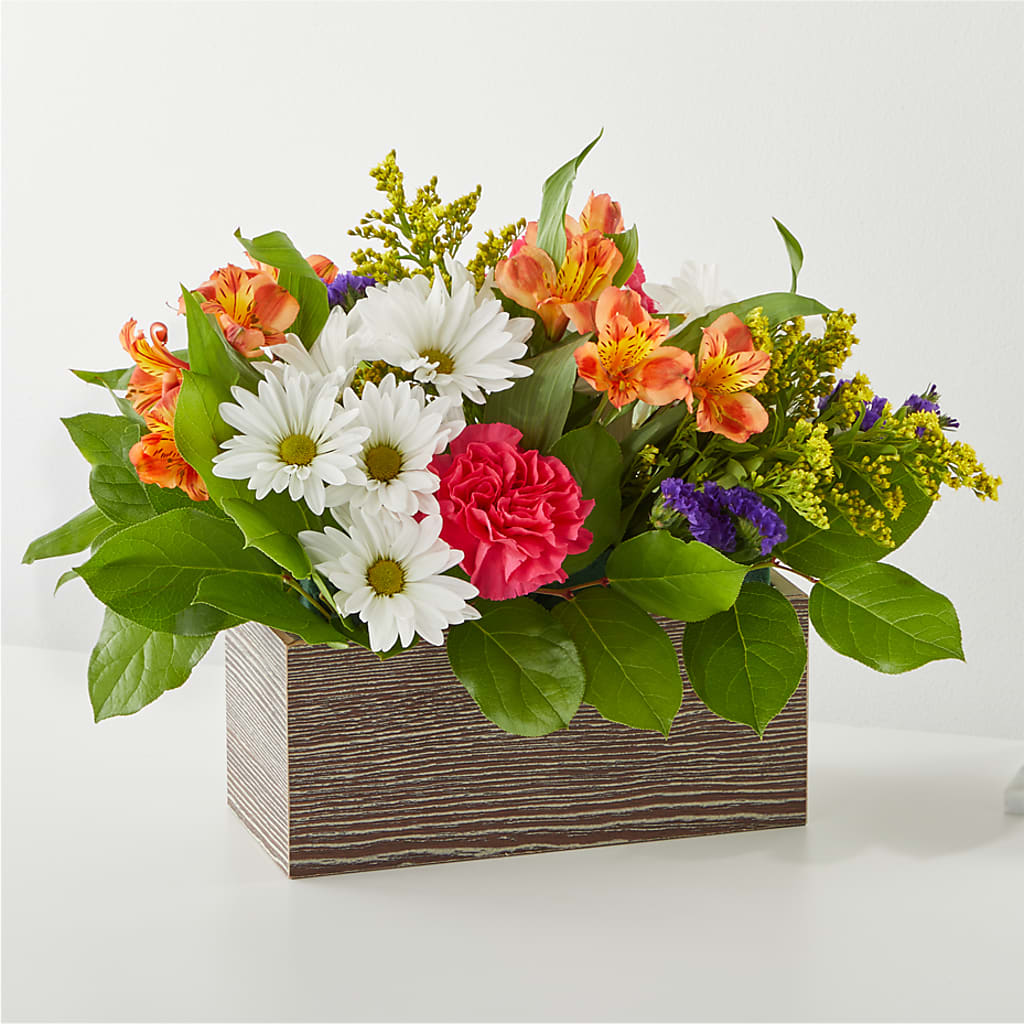 Oopsie Daisy Box Bouquet – TIFFANEY'S FLOWERS & GIFTS, Junction City KY