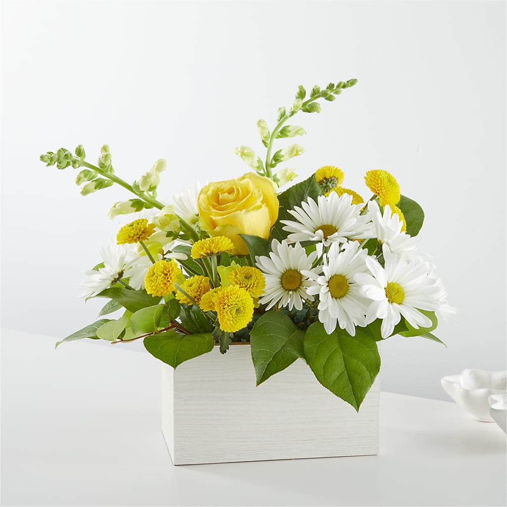 Sun Salutation Box Bouquet – TIFFANEY'S FLOWERS & GIFTS, Junction City KY