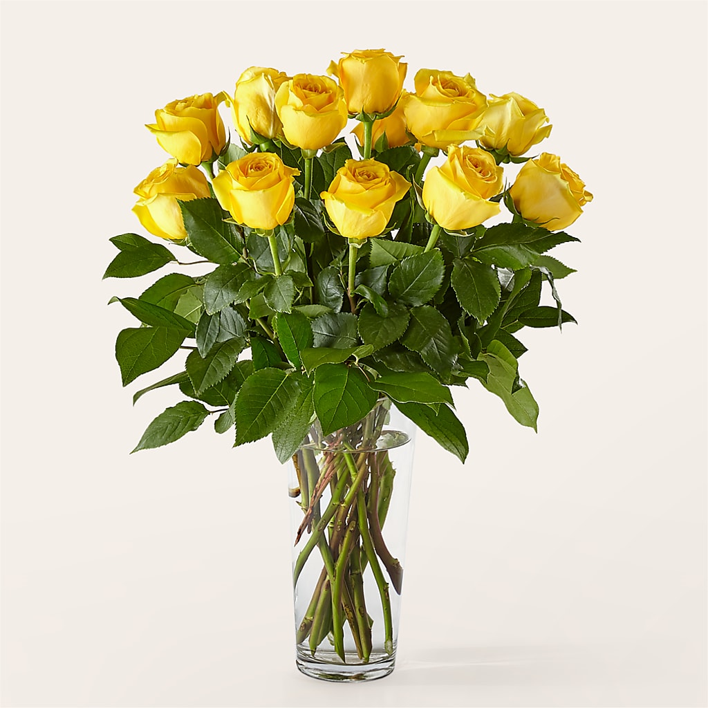 Long Stem Yellow Rose Bouquet – TIFFANEY'S FLOWERS & GIFTS, Junction City KY
