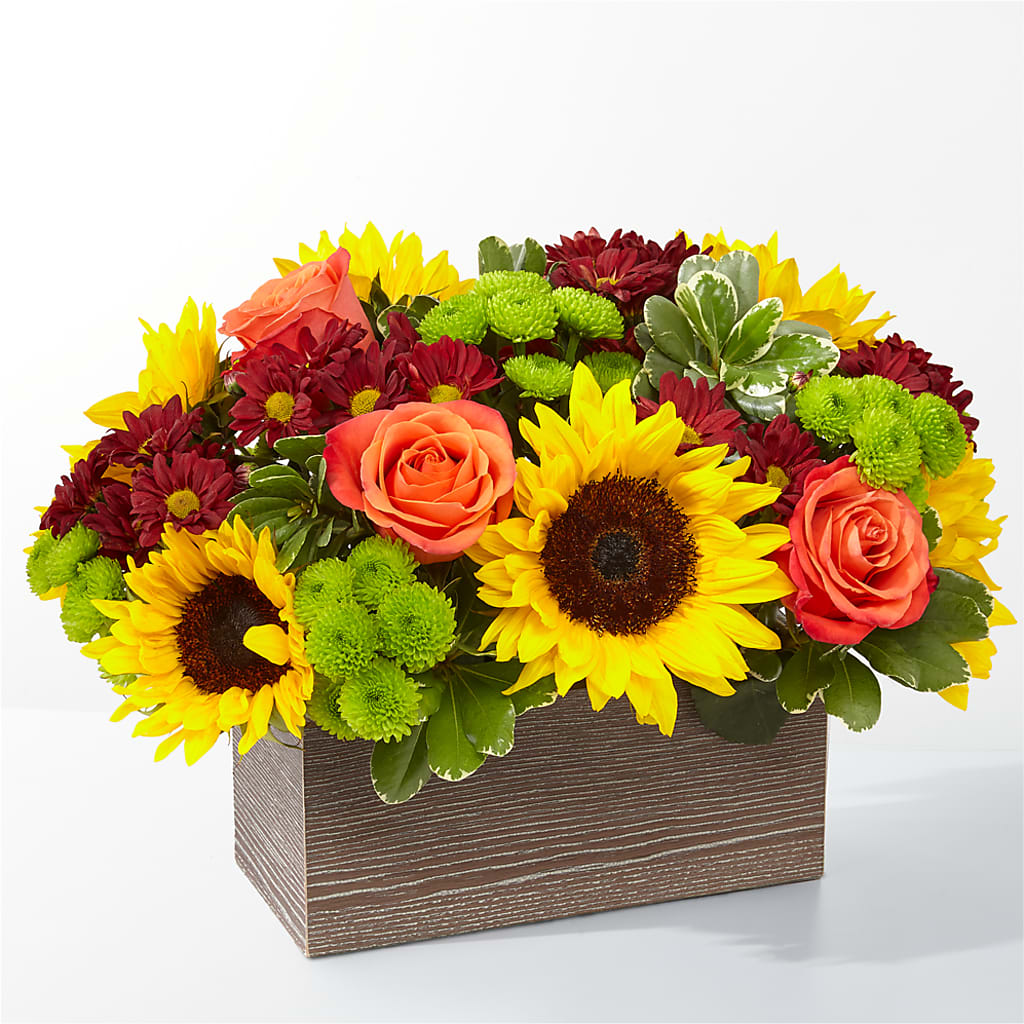Happy Harvest Garden – TIFFANEY'S FLOWERS & GIFTS, Junction City KY