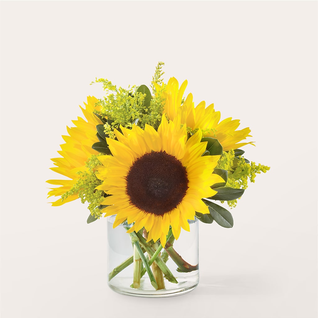 Beaming Sunflower Bouquet – TIFFANEY'S FLOWERS & GIFTS, Junction City KY