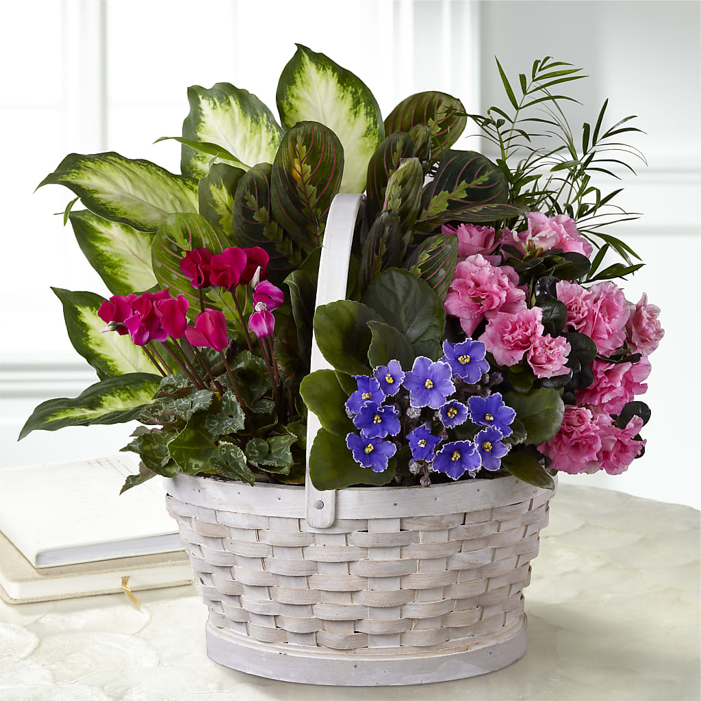 Peaceful Garden Planter – TIFFANEY'S FLOWERS & GIFTS, Junction City KY