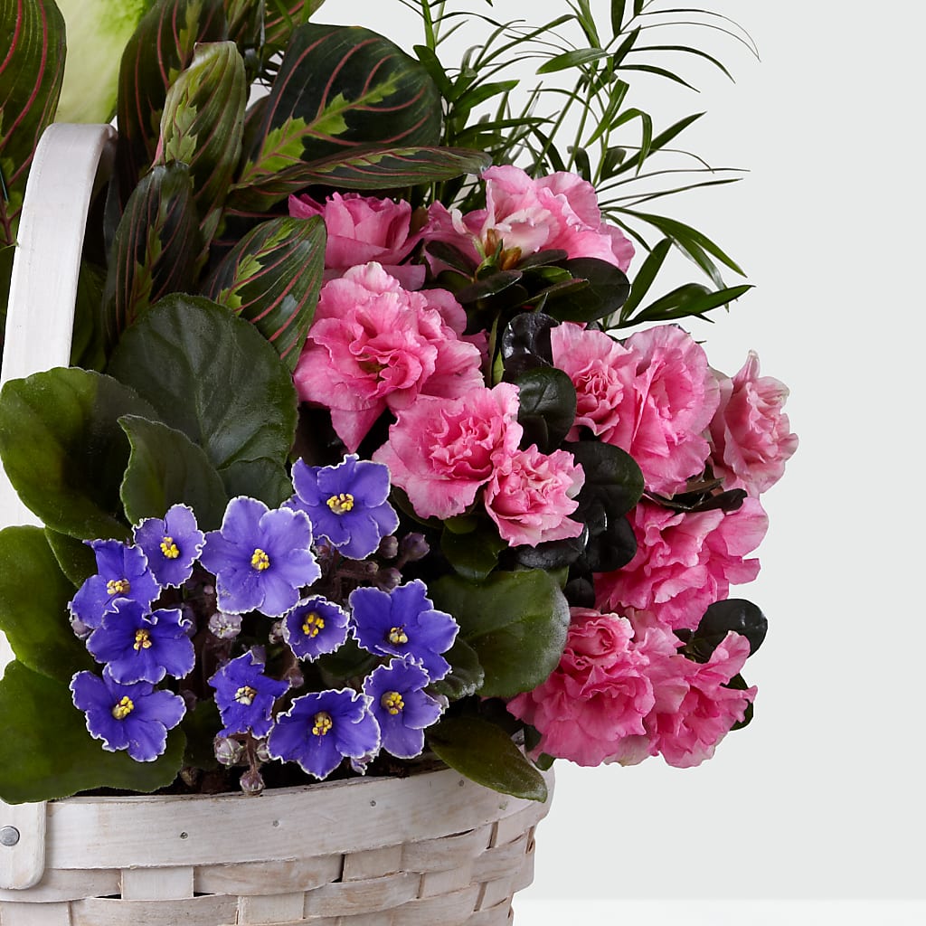 Peaceful Garden Planter – TIFFANEY'S FLOWERS & GIFTS, Junction City KY
