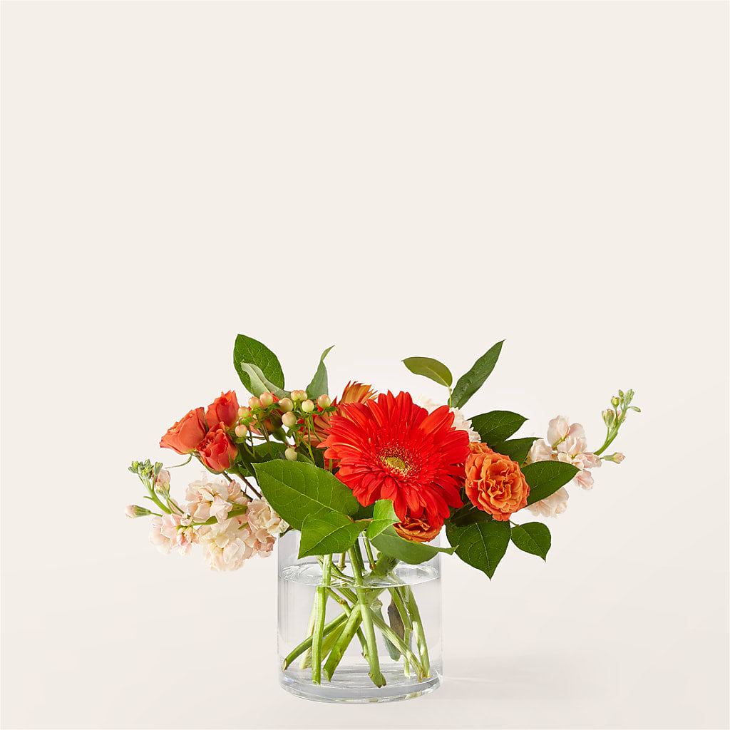 Paloma Please Bouquet – TIFFANEY'S FLOWERS & GIFTS, Junction City KY