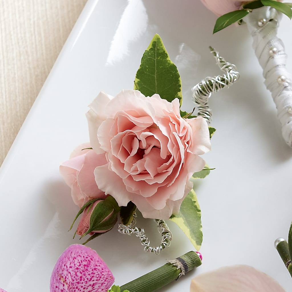 Pink Spray Rose Boutonniere – TIFFANEY'S FLOWERS & GIFTS, Junction City KY