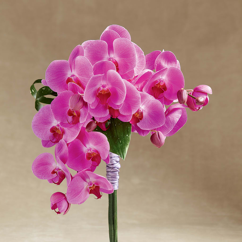 Glorious Bouquet – TIFFANEY'S FLOWERS & GIFTS, Junction City KY