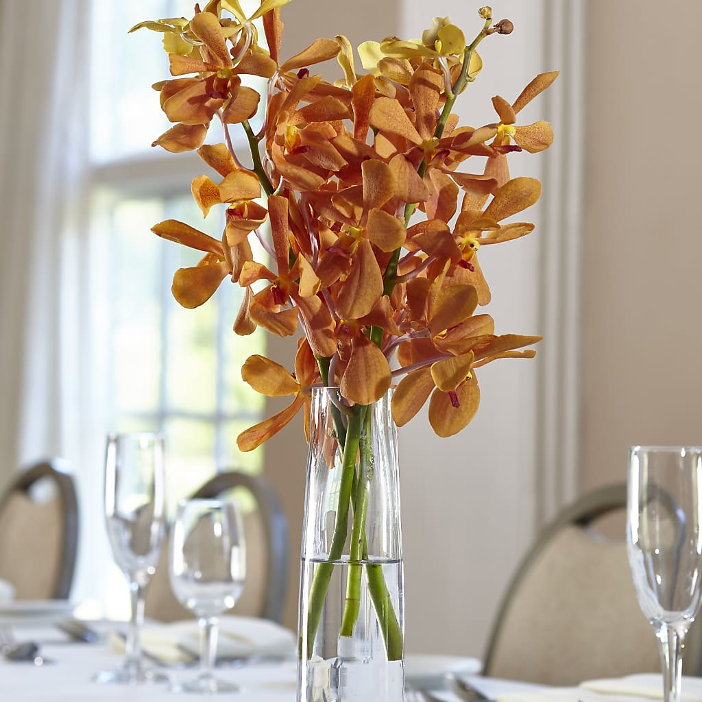 Orange Mokara Bud Vase – TIFFANEY'S FLOWERS & GIFTS, Junction City KY