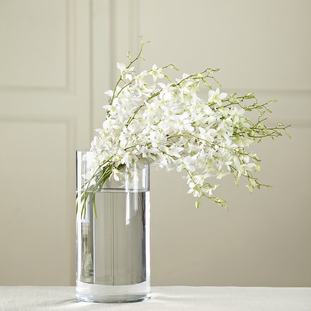 White Dendrobium Bouquet – TIFFANEY'S FLOWERS & GIFTS, Junction City KY