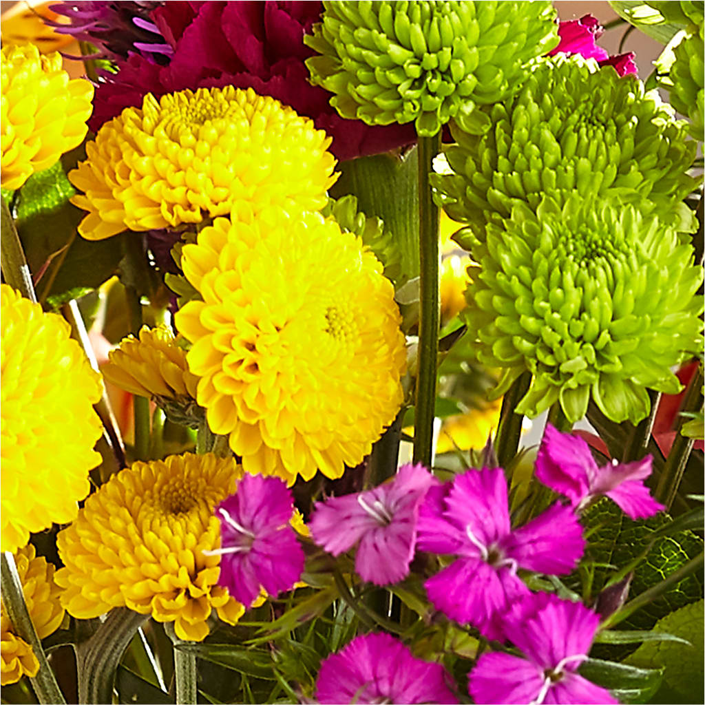Bold & Bright – A Florist Original – TIFFANEY'S FLOWERS & GIFTS, Junction City KY