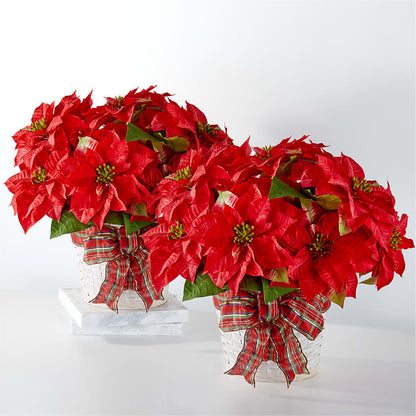 Happiest Holidays Poinsettia Bundle – TIFFANEY'S FLOWERS & GIFTS, Junction City KY