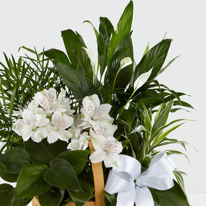Peace & Serenity Dishgarden – TIFFANEY'S FLOWERS & GIFTS, Junction City KY