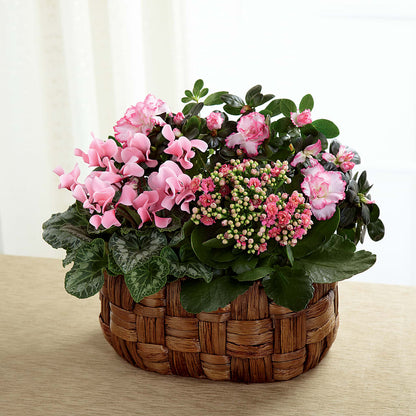 Pink Assortment – TIFFANEY'S FLOWERS & GIFTS, Junction City KY