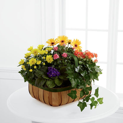 Gentle Blossoms Basket – TIFFANEY'S FLOWERS & GIFTS, Junction City KY