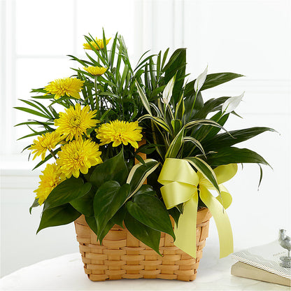 Loving Light Dishgarden – TIFFANEY'S FLOWERS & GIFTS, Junction City KY
