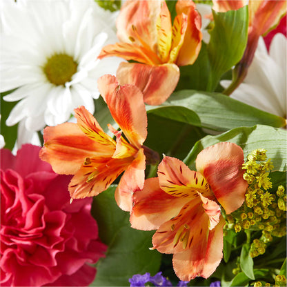 Oopsie Daisy Box Bouquet – TIFFANEY'S FLOWERS & GIFTS, Junction City KY