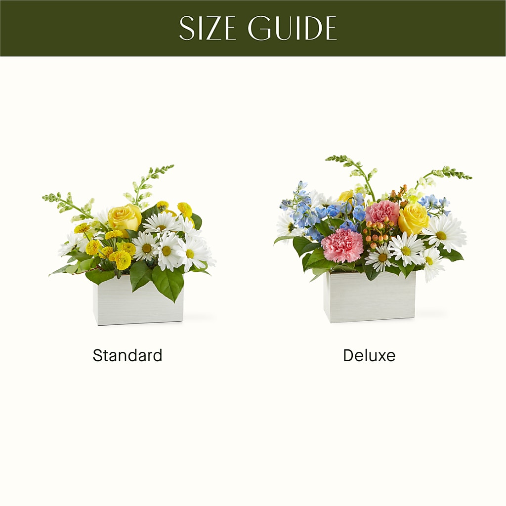 Sun Salutation Box Bouquet – TIFFANEY'S FLOWERS & GIFTS, Junction City KY