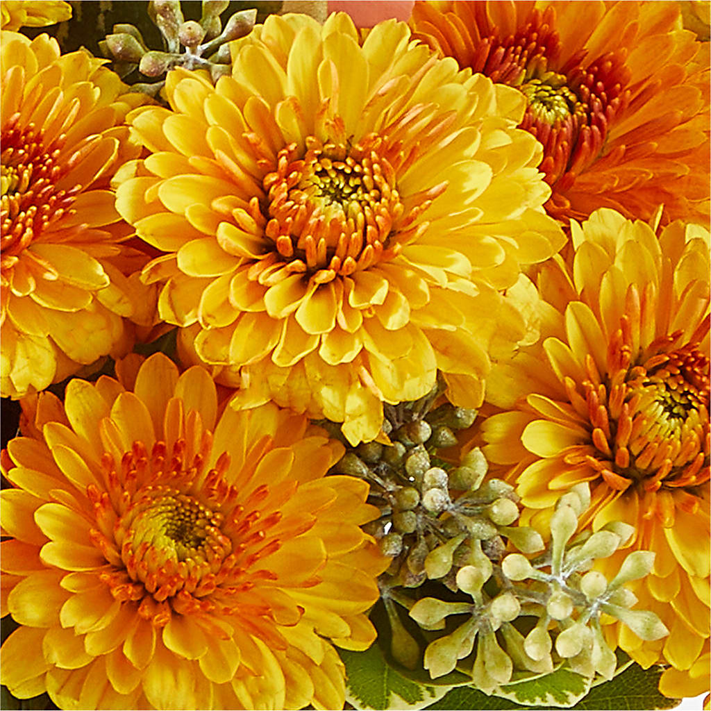 Peachy Pumpkin – TIFFANEY'S FLOWERS & GIFTS, Junction City KY