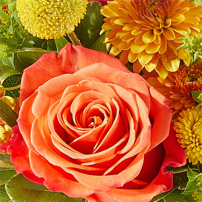 Gourdgeous Pumpkin – TIFFANEY'S FLOWERS & GIFTS, Junction City KY