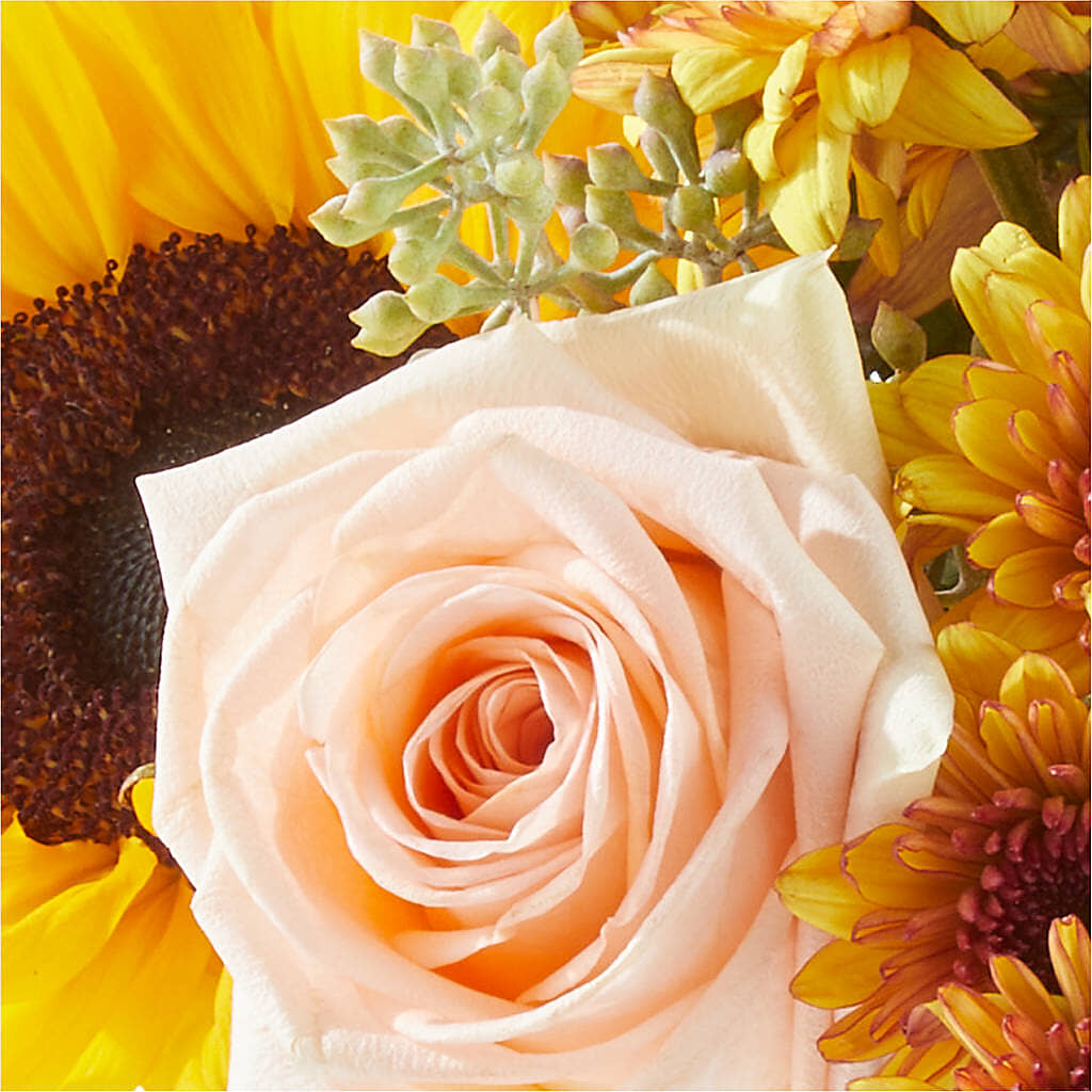 Pumpkin to Talk About Bouquet – TIFFANEY'S FLOWERS & GIFTS, Junction City KY