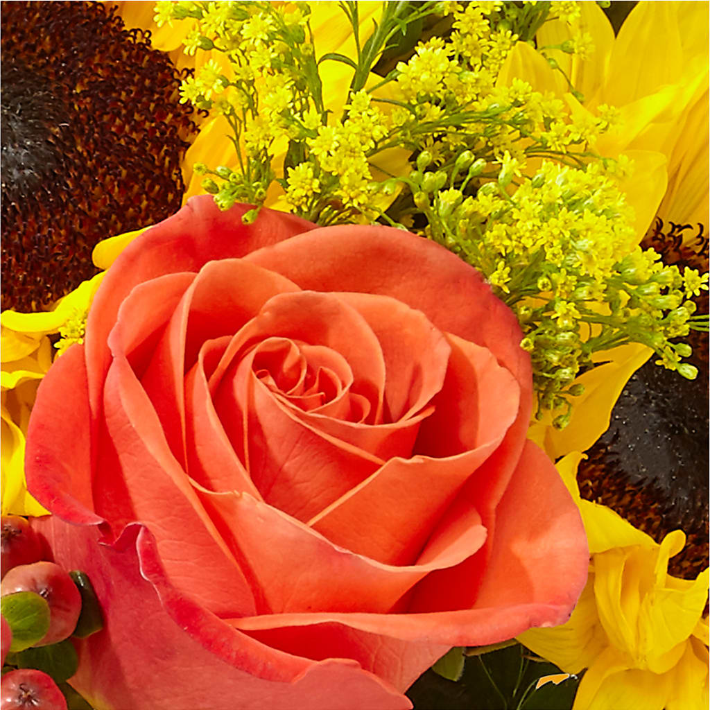 Pick of the Patch Pumpkin Bouquet – TIFFANEY'S FLOWERS & GIFTS, Junction City KY