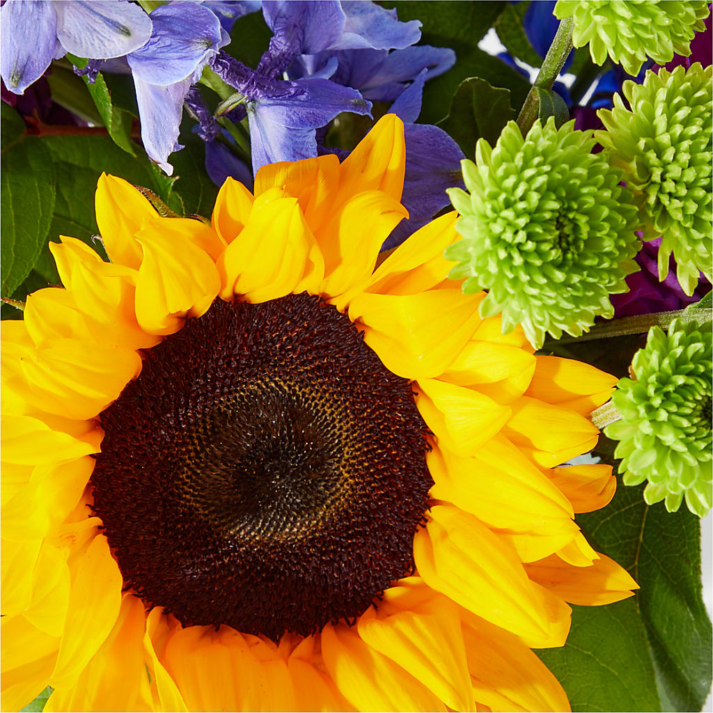Catching Rays Bouquet – TIFFANEY'S FLOWERS & GIFTS, Junction City KY