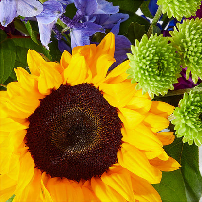 Catching Rays Bouquet – TIFFANEY'S FLOWERS & GIFTS, Junction City KY