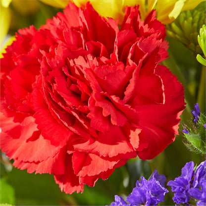 Brighter Days Bouquet – TIFFANEY'S FLOWERS & GIFTS, Junction City KY