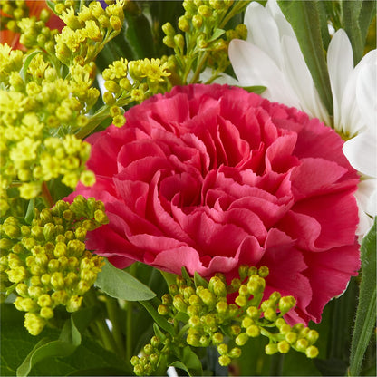 Oopsie Daisy Bouquet – TIFFANEY'S FLOWERS & GIFTS, Junction City KY