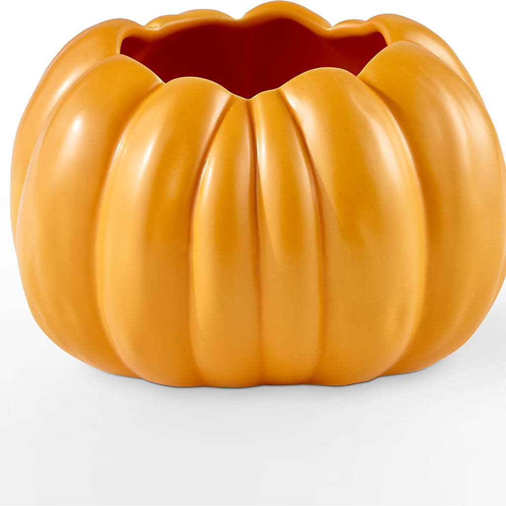 Pick of the Patch Pumpkin Bouquet – TIFFANEY'S FLOWERS & GIFTS, Junction City KY