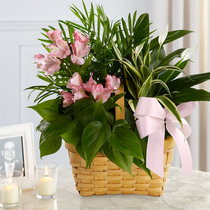 Living Spirit Dishgarden – TIFFANEY'S FLOWERS & GIFTS, Junction City KY