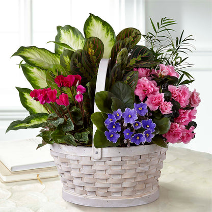 Peaceful Garden Planter – TIFFANEY'S FLOWERS & GIFTS, Junction City KY