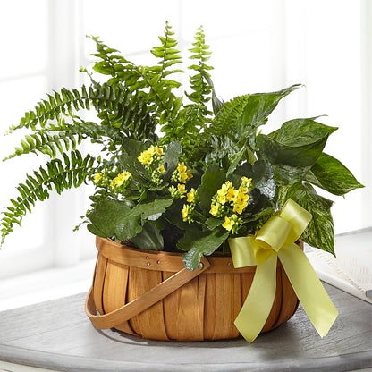Always Dear Dishgarden – TIFFANEY'S FLOWERS & GIFTS, Junction City KY