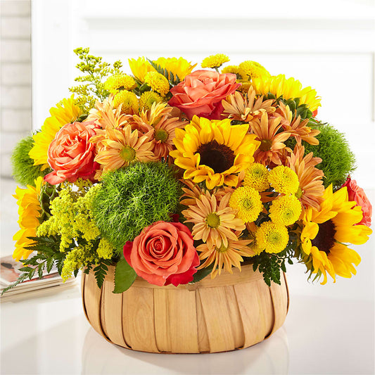 Harvest Sunflower Basket – TIFFANEY'S FLOWERS & GIFTS, Junction City KY
