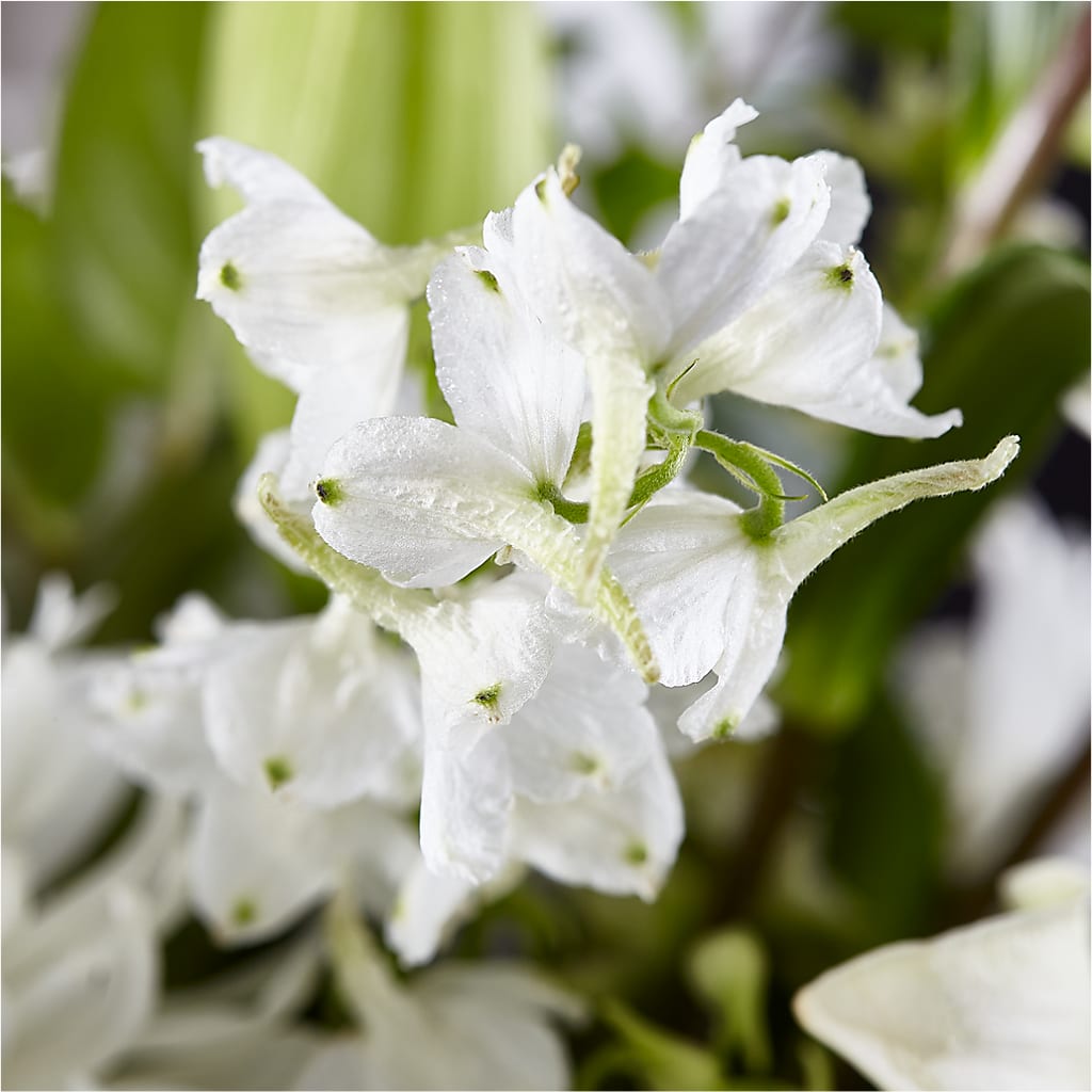 Classic Ivory – A Florist Original – TIFFANEY'S FLOWERS & GIFTS, Junction City KY