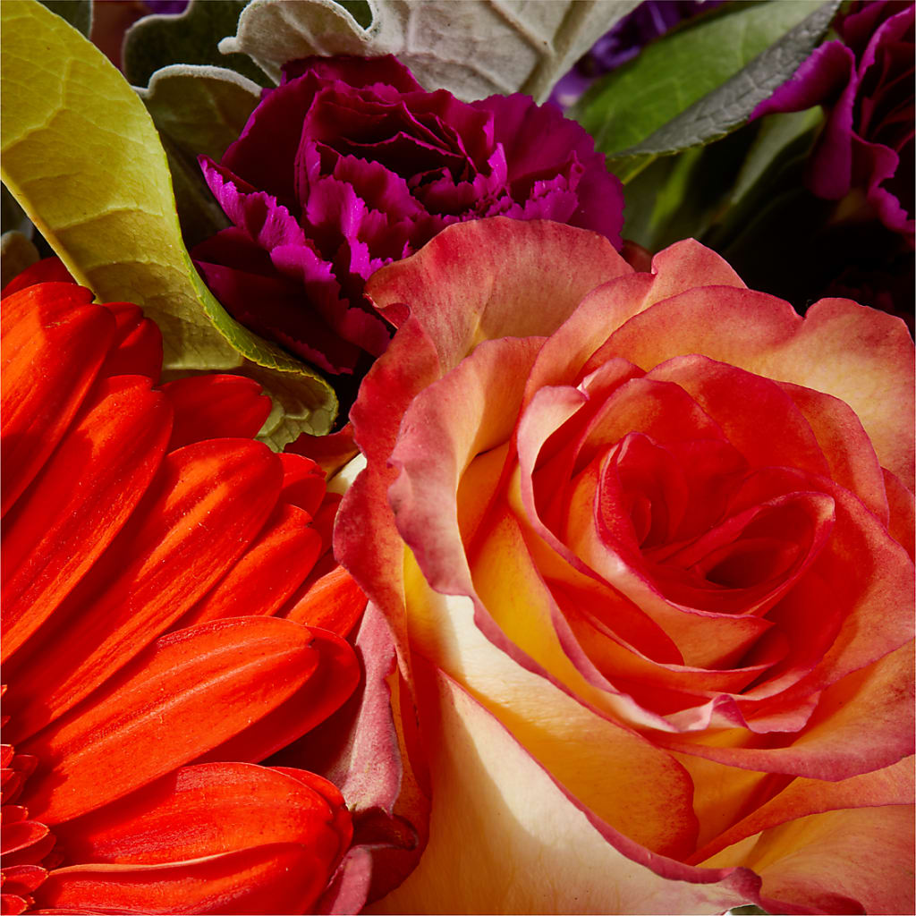 Sangria Bouquet – TIFFANEY'S FLOWERS & GIFTS, Junction City KY