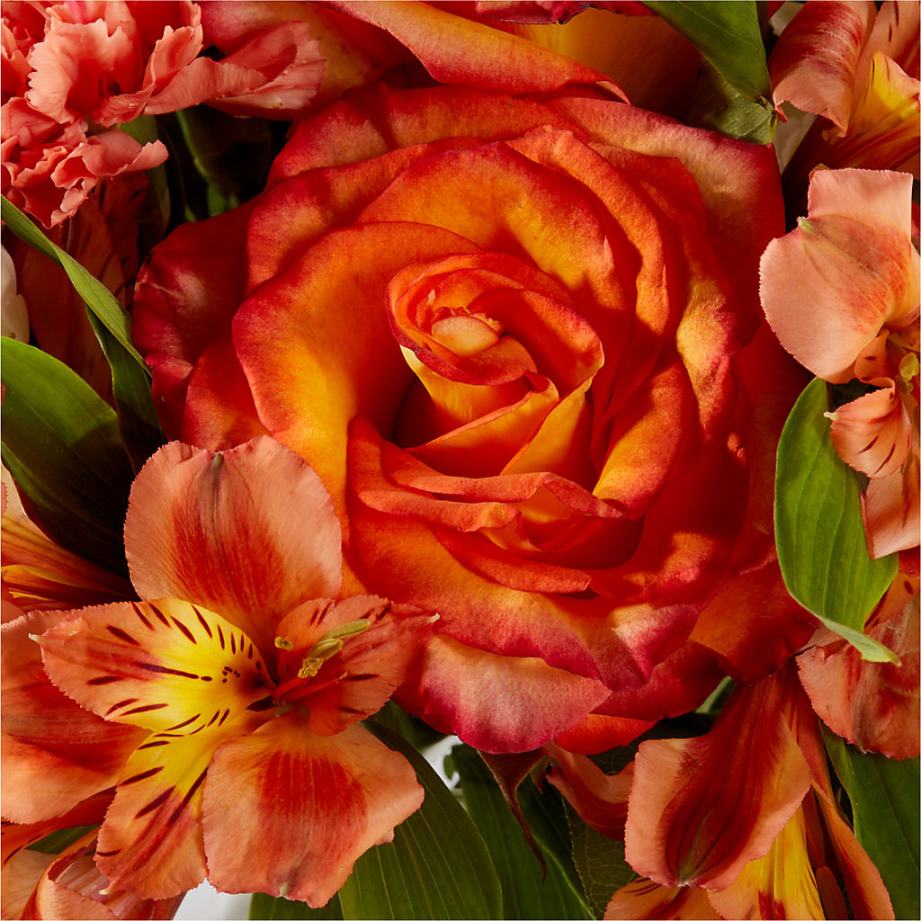 Apricot Glow Bouquet – TIFFANEY'S FLOWERS & GIFTS, Junction City KY
