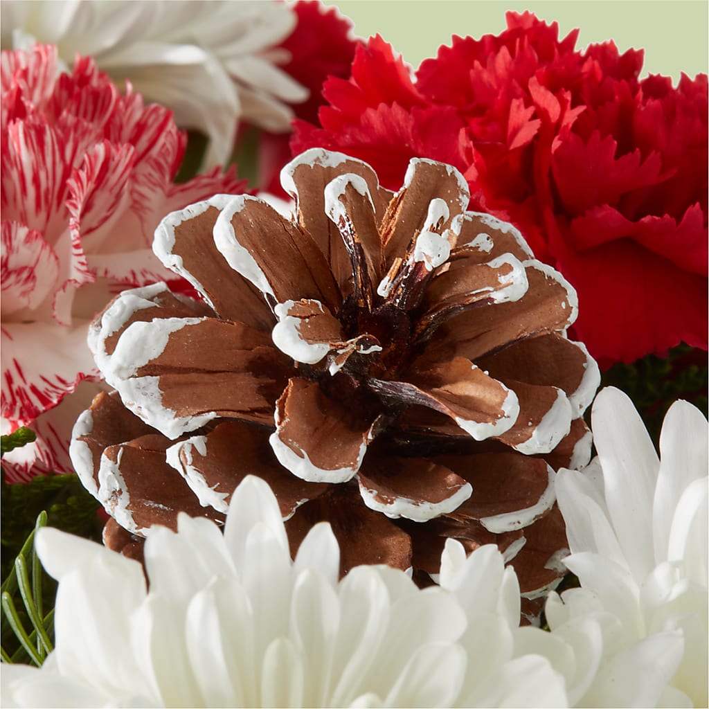 Candy Cane Lane Bouquet – TIFFANEY'S FLOWERS & GIFTS, Junction City KY
