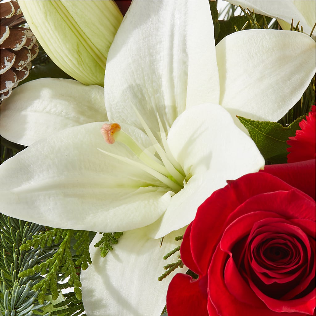 Oh So Jolly Bouquet – TIFFANEY'S FLOWERS & GIFTS, Junction City KY