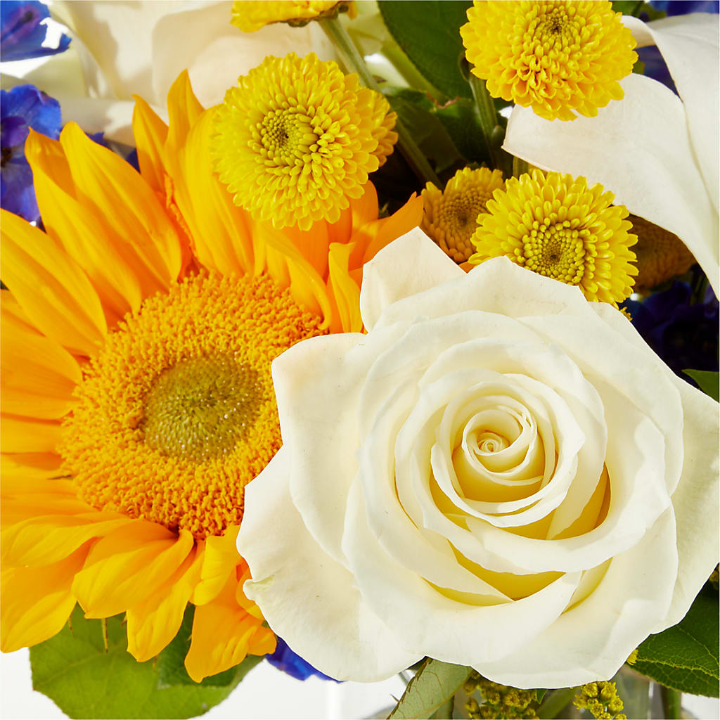 Stargazing Bouquet – TIFFANEY'S FLOWERS & GIFTS, Junction City KY