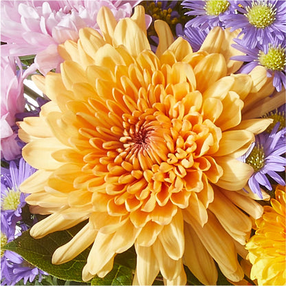 Countryside Bouquet – TIFFANEY'S FLOWERS & GIFTS, Junction City KY