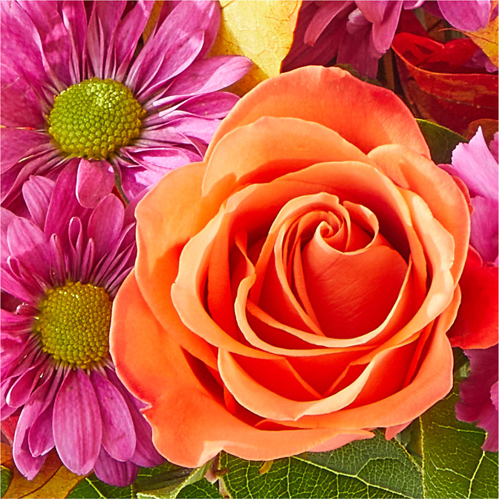 Mum's the Word Bouquet – TIFFANEY'S FLOWERS & GIFTS, Junction City KY