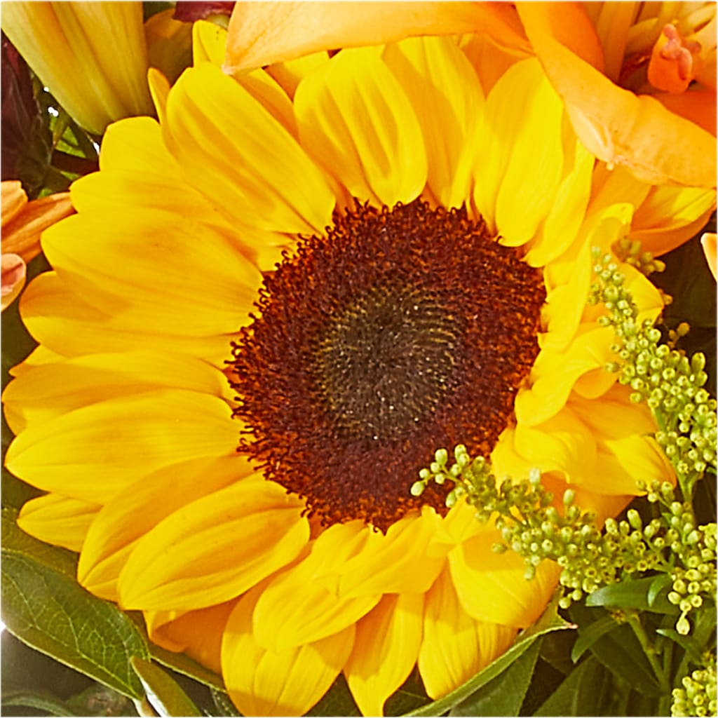Seasons Change Bouquet – TIFFANEY'S FLOWERS & GIFTS, Junction City KY