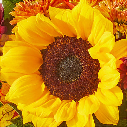 Sunny Side Bouquet – TIFFANEY'S FLOWERS & GIFTS, Junction City KY