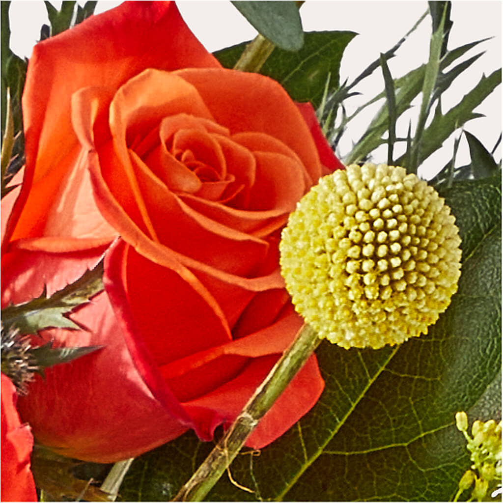 Disco Bouquet – TIFFANEY'S FLOWERS & GIFTS, Junction City KY