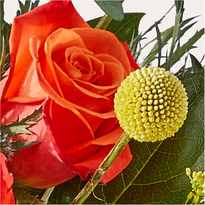Disco Bouquet – TIFFANEY'S FLOWERS & GIFTS, Junction City KY