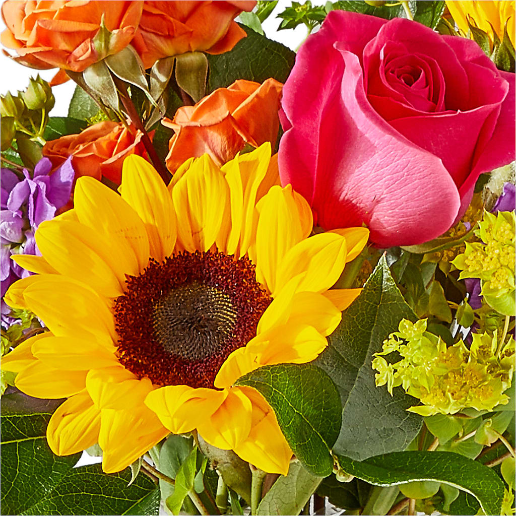 Vibrant Greetings Bouquet – TIFFANEY'S FLOWERS & GIFTS, Junction City KY