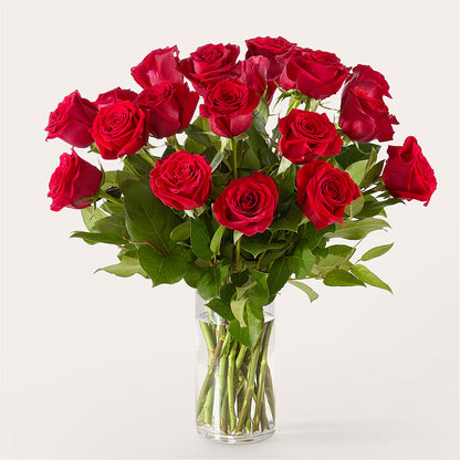 The One Red Rose Bouquet – TIFFANEY'S FLOWERS & GIFTS, Junction City KY